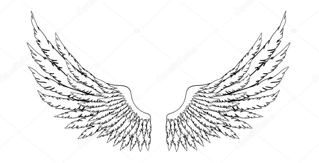 Black and white hand-drawn wings of angel or archangel, element of insignia or coat of arms. EPS 8.