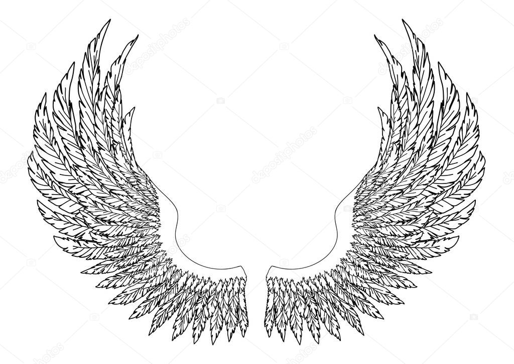 Black and white hand-drawn wings of angel or archangel, element of insignia or coat of arms. EPS 8.