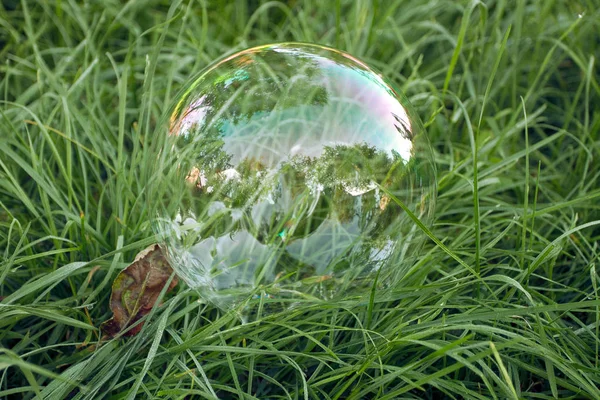 Stor Såpbubbla Liggande Grönt Gräs Park — Stockfoto
