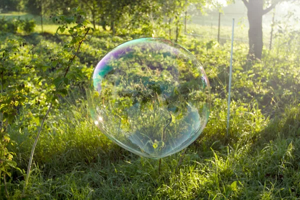 Velké Mýdlová Bublina Letí Vzduchu Parku — Stock fotografie