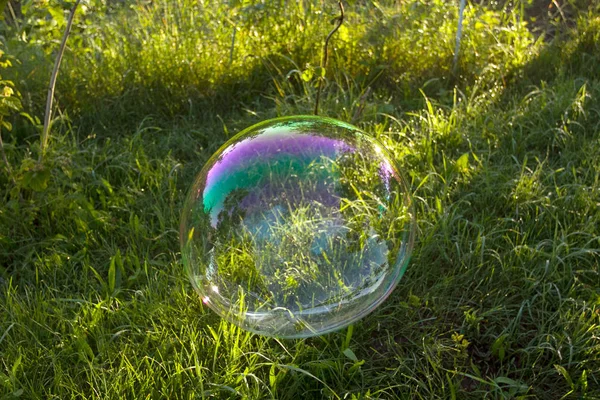 Grote Zeepbel Vliegen Lucht Het Park — Stockfoto