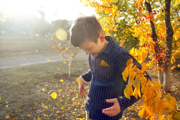 Fröhliche Jungen Haben Spaß Herbstlichen Park Werfen Blätter Hoch Lächeln — Stockfoto