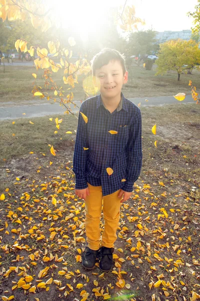 Buon Ragazzo Divertirsi Nel Parco Autunnale Vomitare Foglie Smie Ridere — Foto Stock