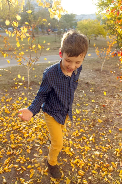 Menino Feliz Divertir Parque Outono Jogar Folhas Smie Rir — Fotografia de Stock