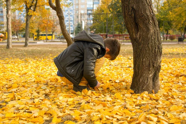 Счастливый Мальчик Веселиться Осеннем Парке Рвать Листья Смеяться Смеяться — стоковое фото