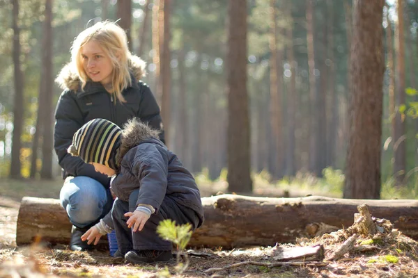 母亲和儿子松树森林有乐趣 — 图库照片