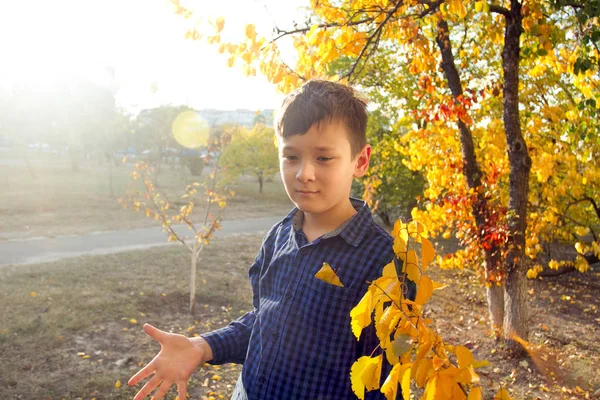 Щасливий Хлопчик Розважається Осінньому Парку Викидає Листя Сміється Сміється — стокове фото