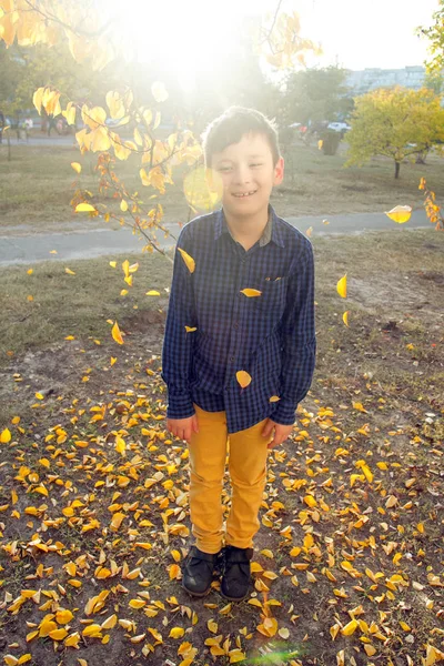 Ευτυχισμένο Αγόρι Διασκεδάσουν Στο Πάρκο Φθινόπωρο Ρίχνουν Επάνω Φύλλα Smie — Φωτογραφία Αρχείου
