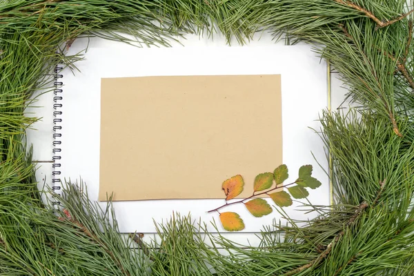 크리스마스 인사말 전나무 판자에 편지와 배경에 크리스마스 전나무 나무입니다 — 스톡 사진