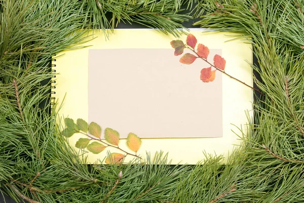 Kerst Groeten Card Fir Tak Decoratie Plank Fir Kerstboom Houten — Stockfoto