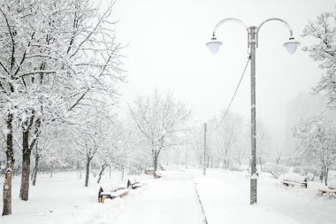 Kış Güzellik. Park ağaçları ile karla kaplı. Yalnızlık kavramı. Kar yağışı mevsimlik Güzellik