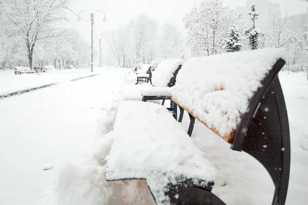 Piękna Zima Park Drzewami Pokryte Śniegiem Pojęcie Samotności Piękno Sezonowych — Zdjęcie stockowe