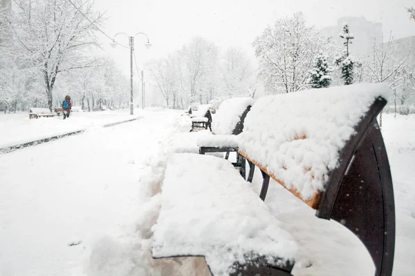 Belleza Invernal Parque Con Árboles Cubiertos Nieve Con Siluetas Personas — Foto de Stock