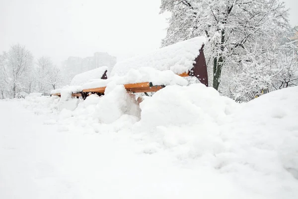 冬の美しさ 木公園は雪で覆われています 孤独のコンセプトです 降雪の季節の美しさ — ストック写真