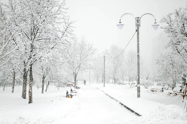 Piękna Zima Park Drzewami Pokryte Snowwith Sylwetki Osób Pojęcie Samotności — Zdjęcie stockowe