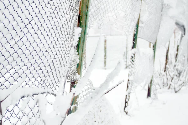 Pokryte Śniegiem Siatka Druciana Siatka Ogrodzenia Kraty Pokryte Świeżego Śniegu — Zdjęcie stockowe