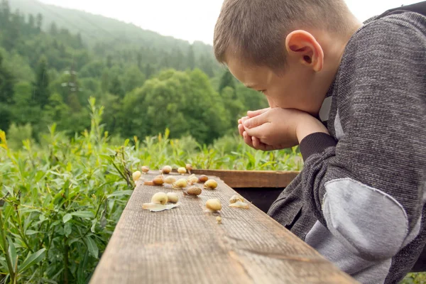 Boy and Group of Snails — Stock Photo, Image