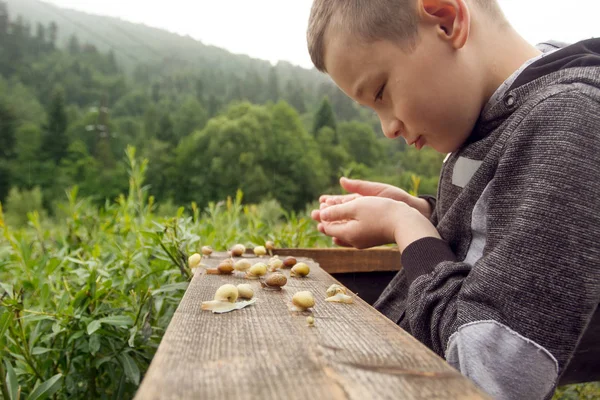 Boy and Group of Snails — Stock Photo, Image