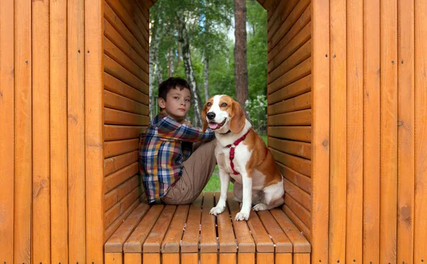 Jongen met zijn hond huisdier — Stockfoto