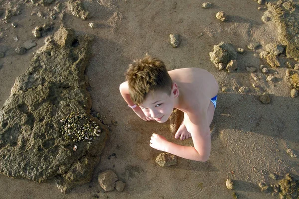 Boy collecting seashells on the beach — Stock Photo, Image