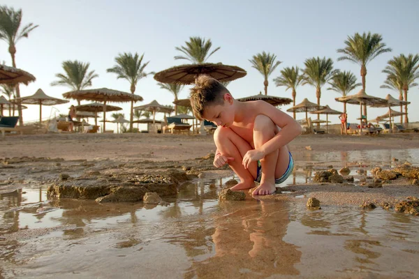 Ragazzo che raccoglie conchiglie sulla spiaggia — Foto Stock