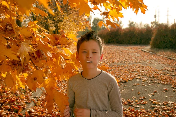 Jongen in het herfstpark — Stockfoto