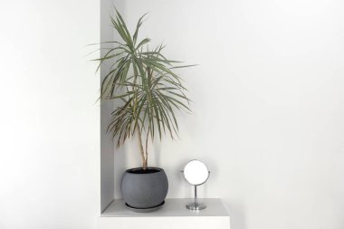 Ev beyazı minimalist çalılık ve ayna, bitkiyle birlikte. Beyaz modern minimalist oda