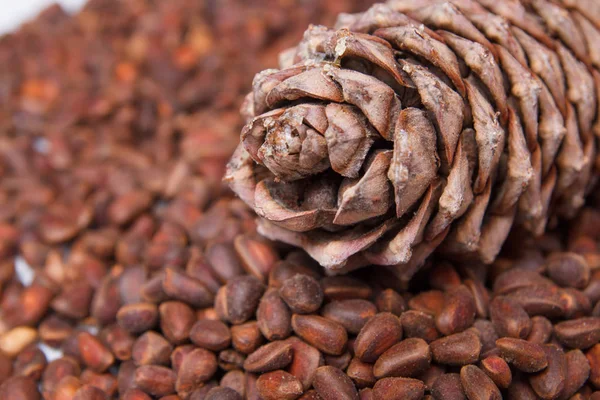 çam kozalakları sedir tohumları bir arka plan üzerinde