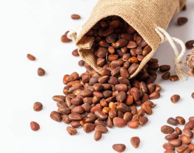 çam fıstığı çanta