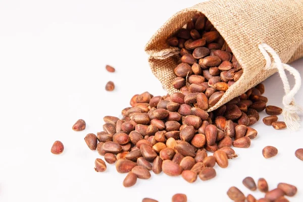 çam fıstığı çanta