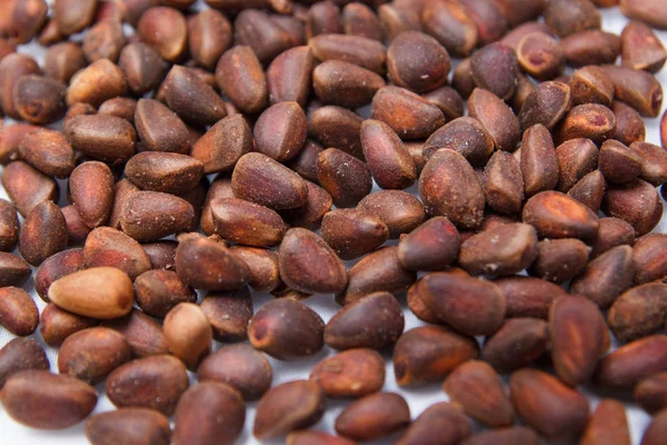 arka planını çam fıstığı