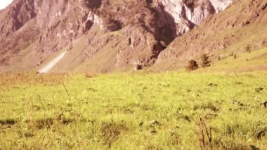 Sırt çantası ile yeşil dağ çayır üzerinde yürüyen adam hiking. Yaz spor ve eğlence kavramı.