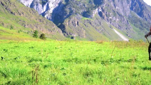 Orang hiking berjalan di padang rumput gunung hijau dengan ransel. Olahraga musim panas dan konsep rekreasi . — Stok Video