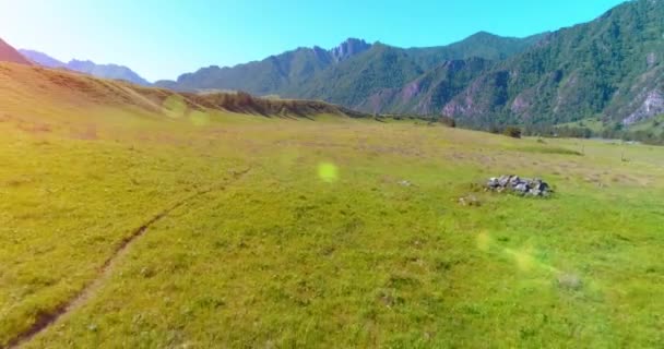 Flight over wild horses herd on meadow. Spring mountains wild nature. Freedom ecology concept. — Stock Video