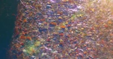 Güneşli yaz sabahında temiz ve taze bir dağ nehri üzerinde uçuşun ortasındayız. Üst görünüm ve yatay hareket