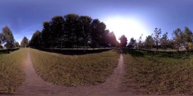 Bir şehir parkının UHD 4K 360 VR Sanal Gerçekliği. Sonbaharda ya da yaz gününde ağaçlar ve yeşil çimenler