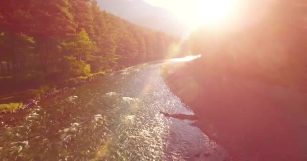 Mid air flight over fresh and clean mountain river at sunny summer morning — Stock Video