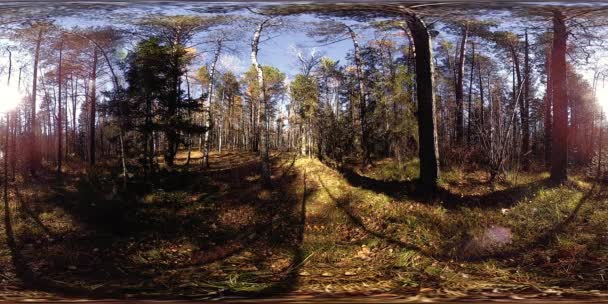 4K 360 VR Réalité virtuelle d'une belle scène de montagne à l'automne. Montagnes russes sauvages .