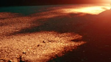 Asfalt yolda koşan sporcu. Kırsal şehir parkı. Yeşil ağaç ormanı ve ufukta güneş ışığı.