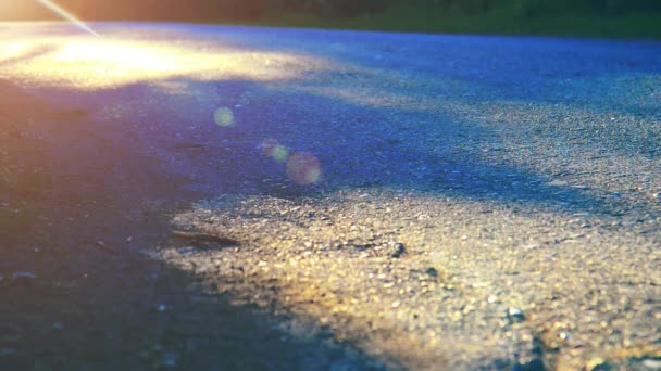 Sport man running at asphalt road. Rural city park. Green tree forest and sun rays on horizon. — Stock Video