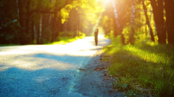 Deportivo corriendo en la carretera de asfalto. Parque rural de la ciudad. Bosque de árboles verdes y rayos de sol en el horizonte. — Vídeo de stock