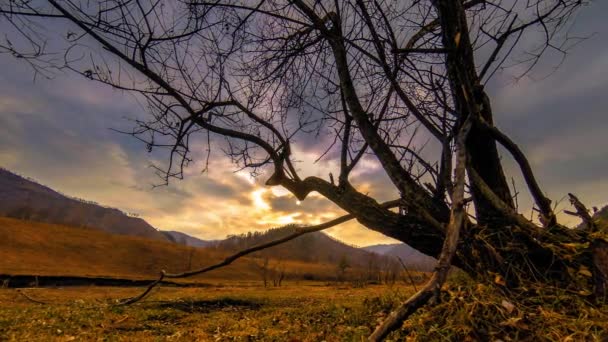 Lapso de tempo da árvore da morte e grama amarela seca na paisagem montanhosa com nuvens e raios de sol. Movimento deslizante horizontal — Vídeo de Stock