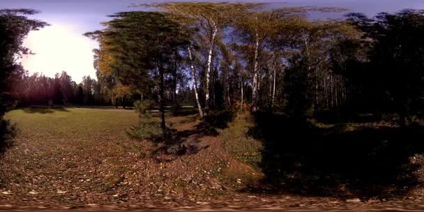 UHD 4K 360 VR Réalité virtuelle d'un parc municipal zone de loisirs. Arbres et herbe verte le jour d'automne ou d'été