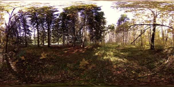 UHD 4K 360 VR Realitatea virtuală a unei zone de recreere a parcului urban. Copaci și iarbă verde în ziua de toamnă sau de vară — Videoclip de stoc