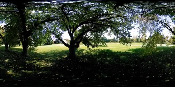 UHD 4K 360 VR Réalité virtuelle d'un parc municipal zone de loisirs. Arbres et herbe verte le jour d'automne ou d'été — Video