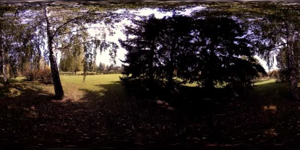 UHD 4K 360 VR Virtual Reality van een recreatiegebied in een stadspark. Bomen en groen gras op herfst- of zomerdag — Stockvideo