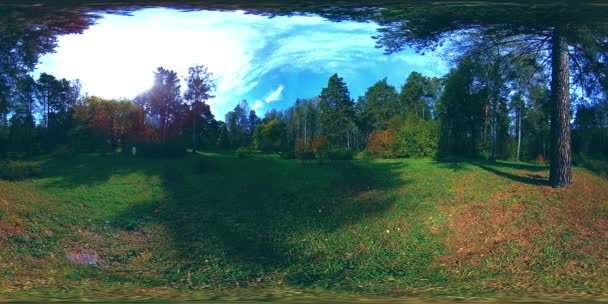 UHD 4K 360 VR Realtà Virtuale di un'area ricreativa del parco cittadino. Alberi ed erba verde al giorno d'autunno o d'estate — Video Stock