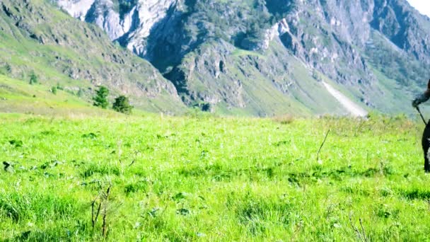 ハイキングのバックパックと緑山の牧草地の上を歩く男。夏のスポーツとレクリエーションの概念. — ストック動画