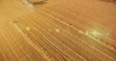 UHD 4k havadan görünümü. Düşük uçuş birleştirmek hasat toplar üzerinde sarı kırsal alan, buğday.