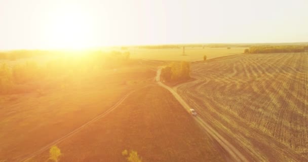 UHD 4K vedere aeriană. Zbor în aer peste câmp rural galben și drum de murdărie — Videoclip de stoc